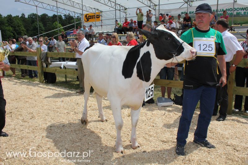 Superchampioni i championi Śląskiej Wystawy Bydła Mlecznego Opolagra 2011
