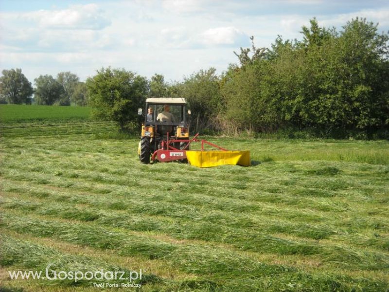 pierwsze sianokosy w roli głownej ursus c330M...
