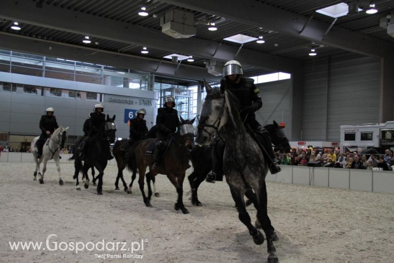 CAVALIADA 2013 w Poznaniu