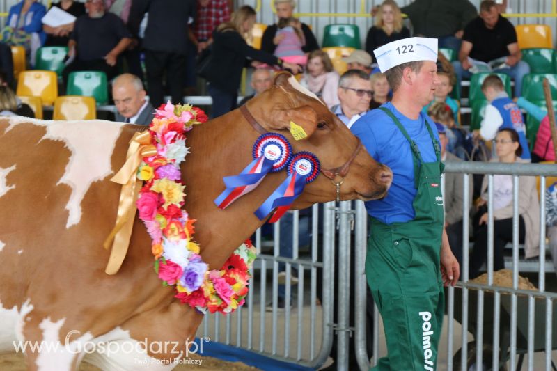 AGRO-TECH Minikowo 2017