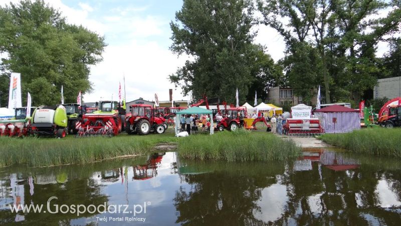 XVII Pałuckie Targi Rolne i XI Pałucka Wystawa Zwierząt Hodowlanych w Żninie