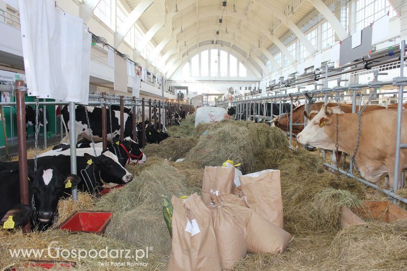 XXV Krajowa Wystawa Zwierząt Hodowlanych Niedziela