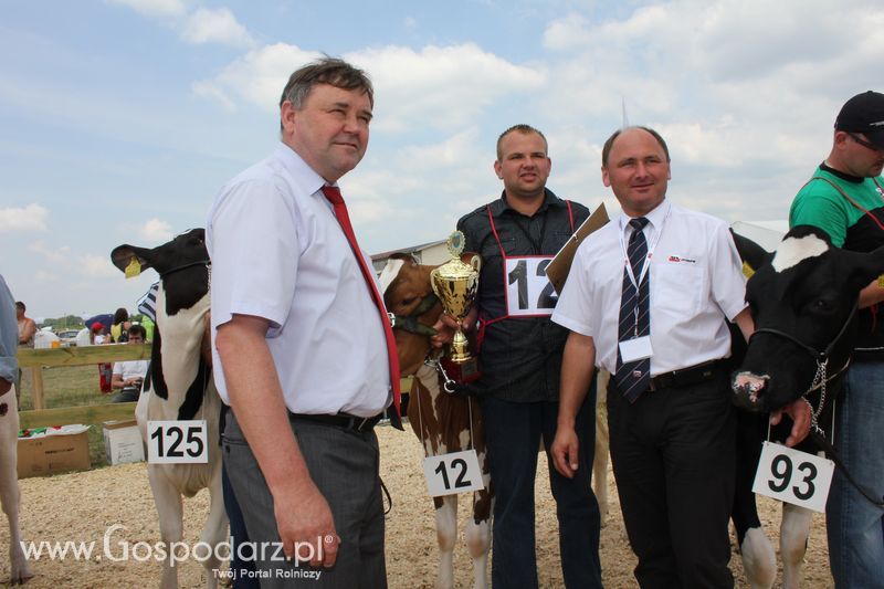 Superchampioni i championi Śląskiej Wystawy Bydła Mlecznego Opolagra 2011