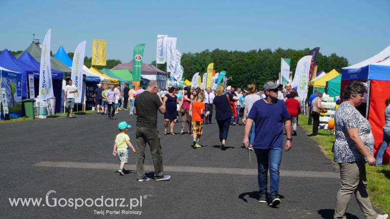 ZIELONE AGRO SHOW 2017 w Ułężu