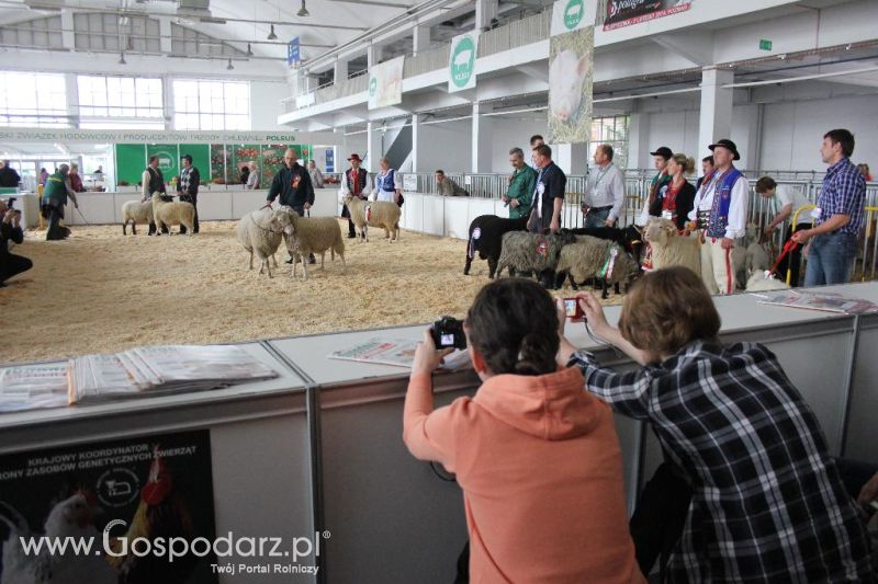 XXVI Krajowa Wystawa Zwierząt Hodowlanych - sobota i niedziela