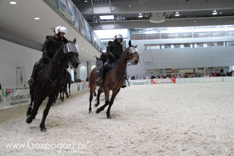 CAVALIADA 2013 w Poznaniu