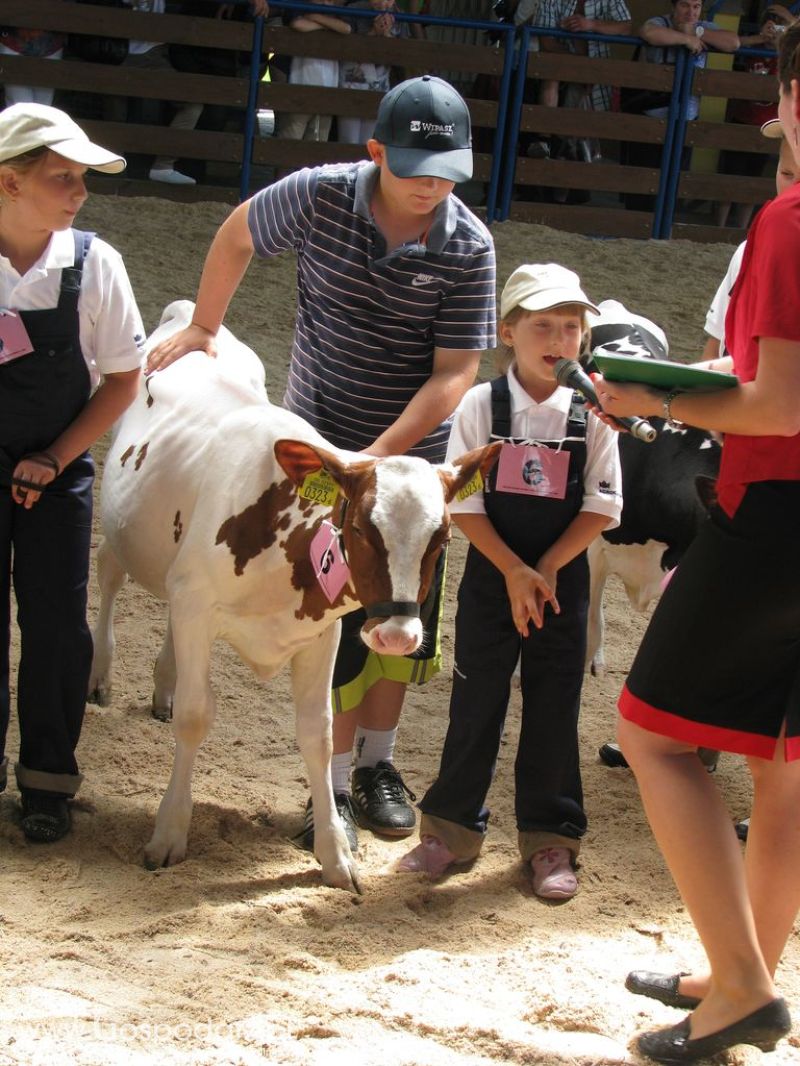 Młody Hodowca - Szepietowo 2012 XIX Regionalna Wystawa Zwierząt Hodowlanych