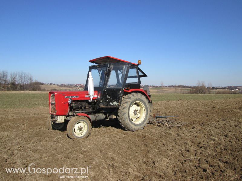 Fotki z wiosny 2015