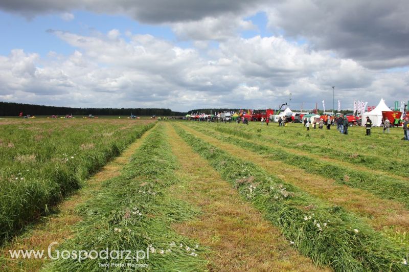 Pokazy maszyn Polskie Zboża Zielone Agro Show 2012