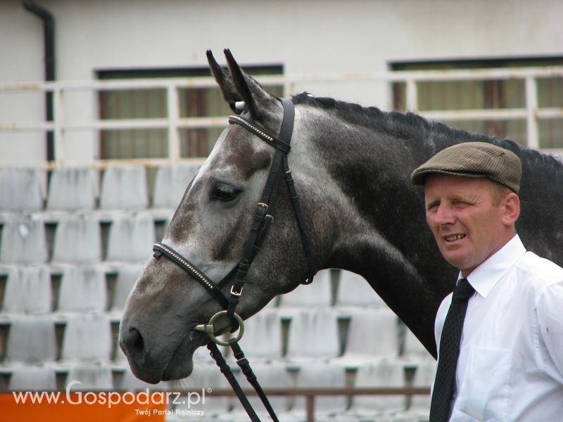 Wystawa Koni Sielinko 2011