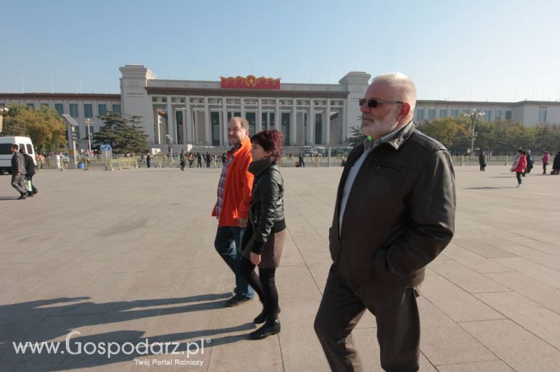 Gospodarz.pl w Chinach