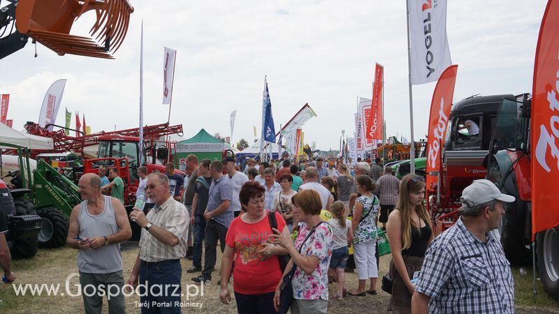 OPOLAGRA 2015 w Kamieniu Śląskim