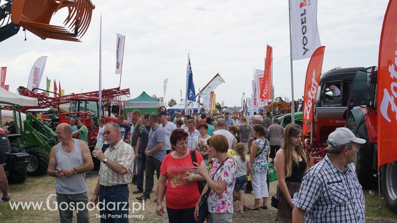 OPOLAGRA 2015 w Kamieniu Śląskim