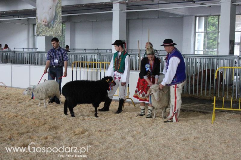 XXVI Krajowa Wystawa Zwierząt Hodowlanych - sobota i niedziela