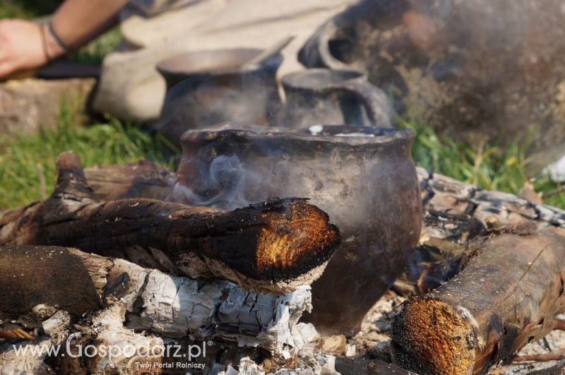 Biskupin - wioska pierwszych rolników