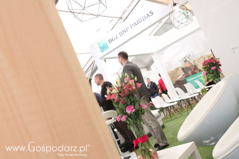 XXV AGROTECH Kielce 2019 dzień 3