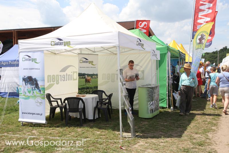 AgroTech Minikowo 2016