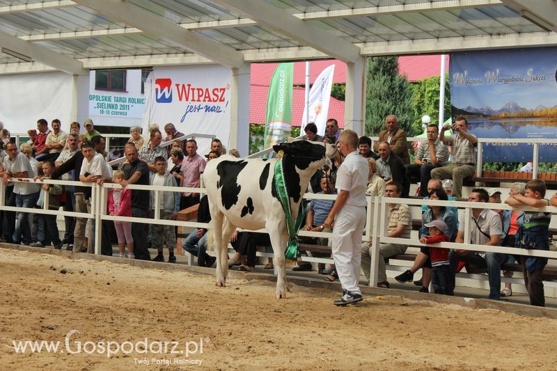 Czempioni XVII Regionalnej Wystawy Zwierząt Hodowlanych Sielinko 2011