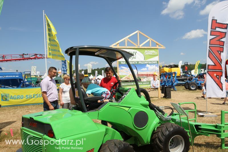 Serafin na OPOLAGRZE 2015