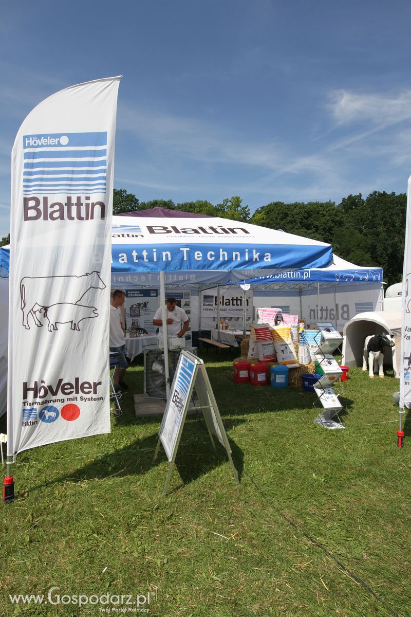 Blattin na Agro-Tech w Minikowie 2016