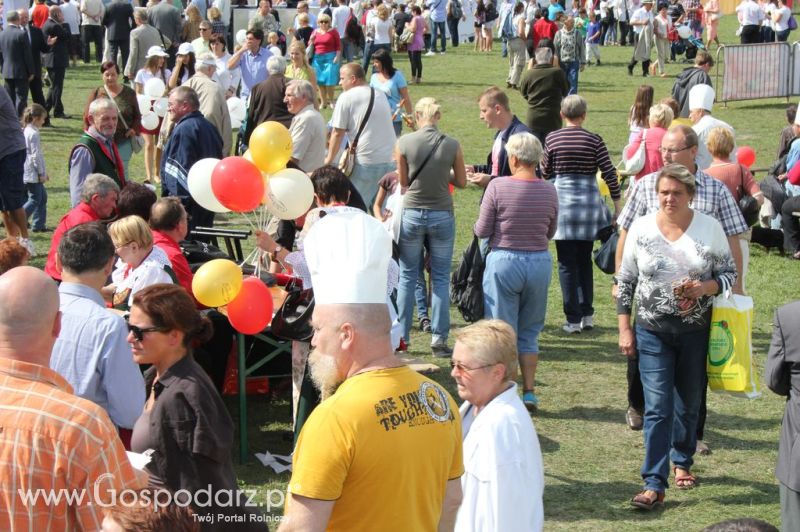 Świętomięs Polski w Chorzowie