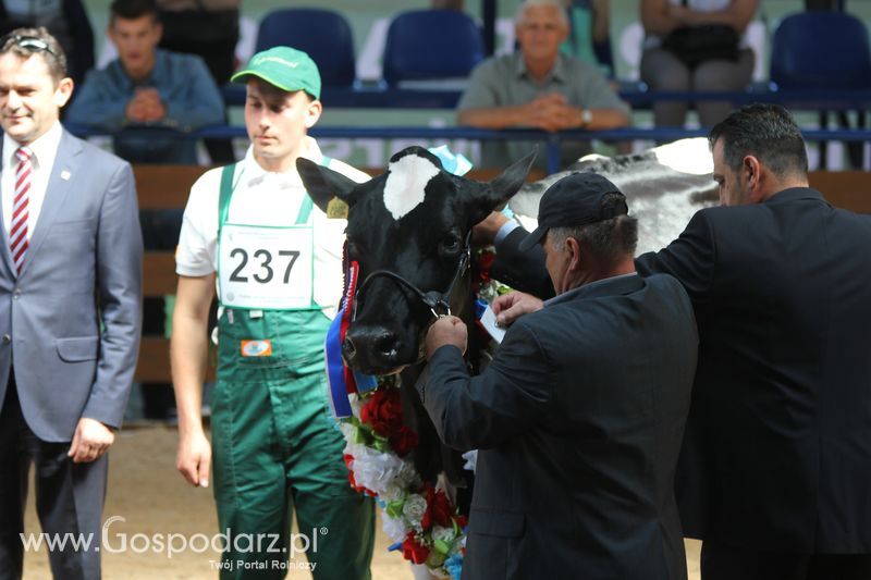 Wystawa zwierząt w Szepietowie