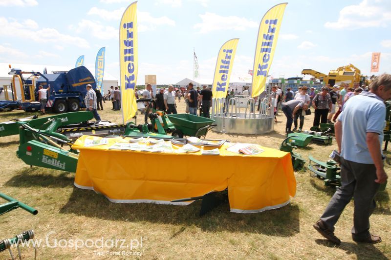 Kellfri na OPOLAGRZE 2016