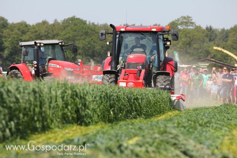 Zielone AGRO SHOW – POLSKIE ZBOŻA 2014 w Sielinku - niedziela