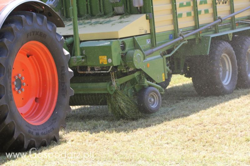 Zielone AGRO SHOW – POLSKIE ZBOŻA 2014 w Sielinku - sobota