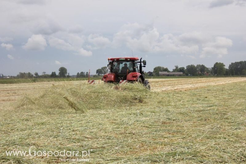 Pokazy polowe Romanów k/Krotoszyna