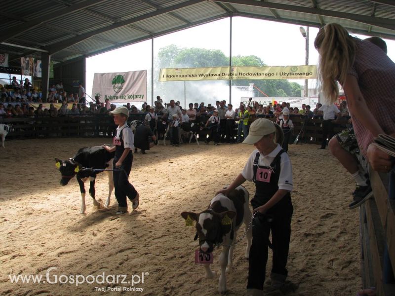 Młody Hodowca - Szepietowo 2012 XIX Regionalna Wystawa Zwierząt Hodowlanych