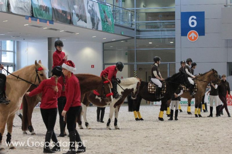 CAVALIADA 2013 w Poznaniu