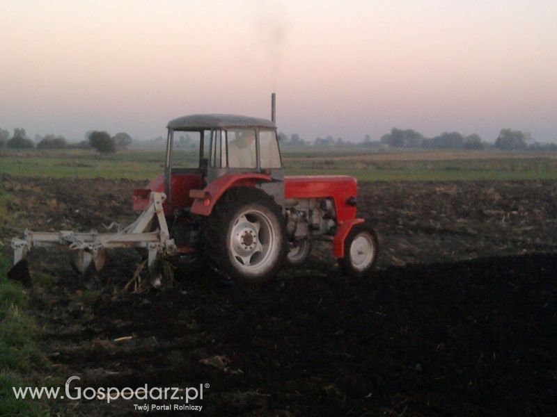 akcja  orka 2011 C-360 po kukurydzy 