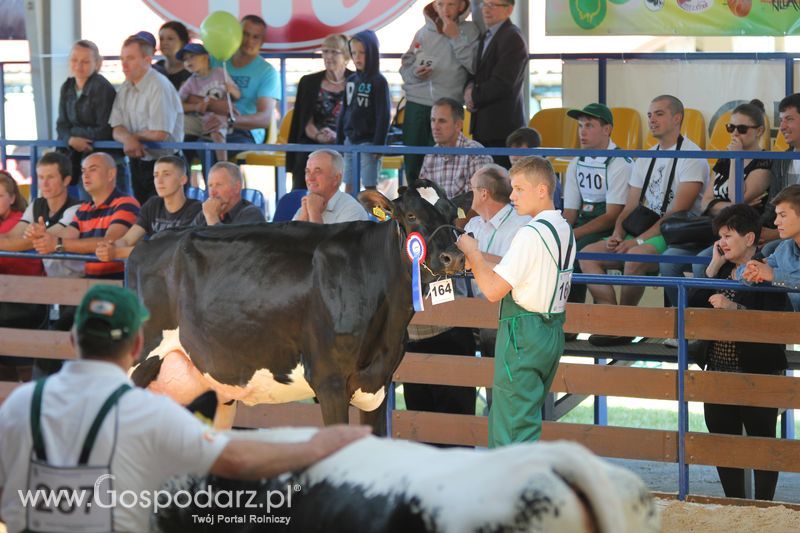 Wystawa zwierząt w Szepietowie