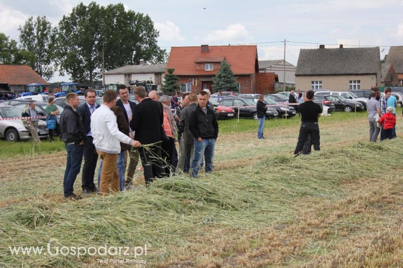 Pokazy polowe Romanów k/Krotoszyna