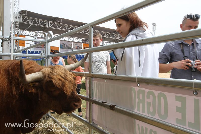 Sobota na Opolagrze 2016 razem z Gospodarz.pl