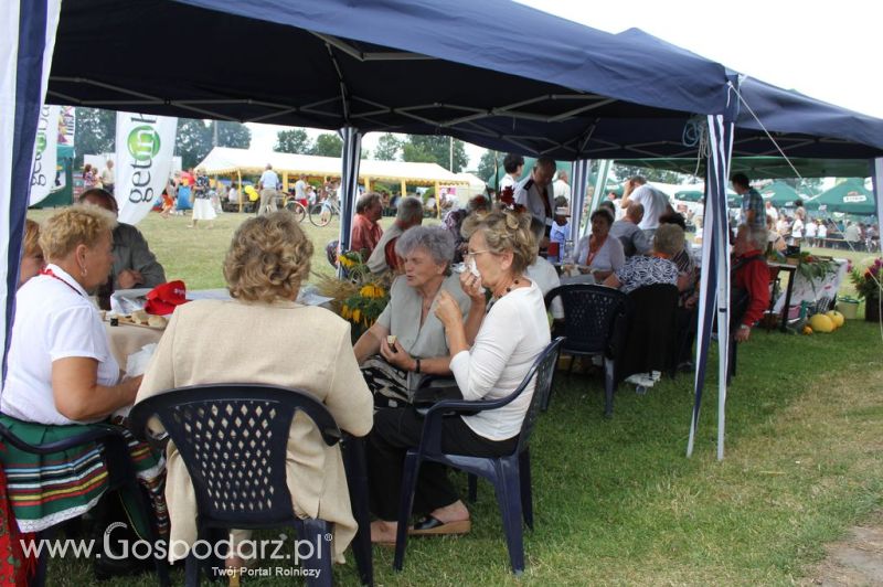 Festiwal Wieprzowiny w Bełżycach