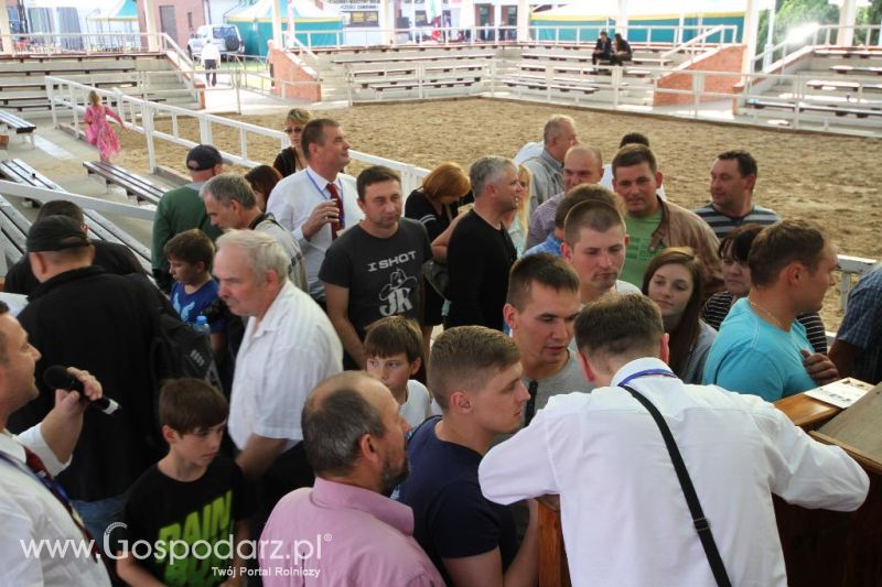 I Krajowa Wystawa Bydła Mięsnego w Sielinku - sobota
