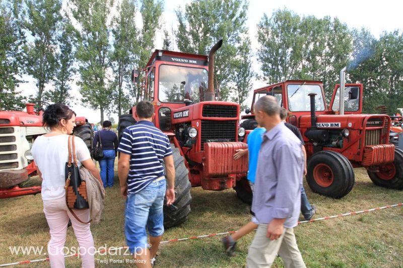 XII Festiwal Starych Ciągników im. Jerzego Samelczaka w Wilkowicach 2013 - sobota
