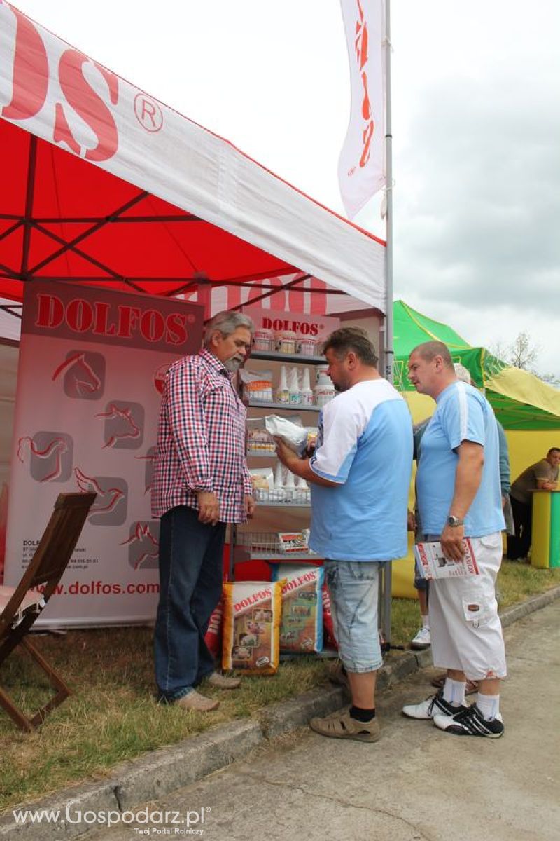 Wielkopolskie Targi Rolnicze „Sielinko 2011”  - Sobota