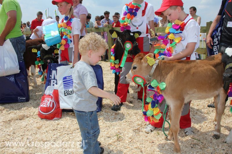 Wystawa Bydła: Konkurs Młodego Hodowcy - Opolagra 2011