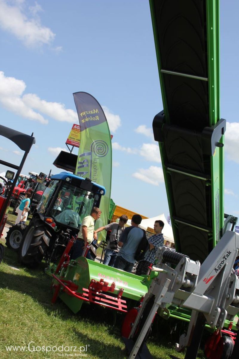 Bogart  - Minikowo 2012