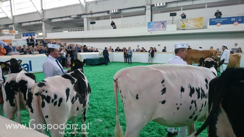 Narodowa Wystawa Zwierząt Hodowlanych 2019