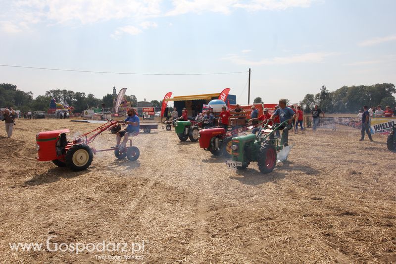 Targi Roltechnika w Wilkowicach 2015