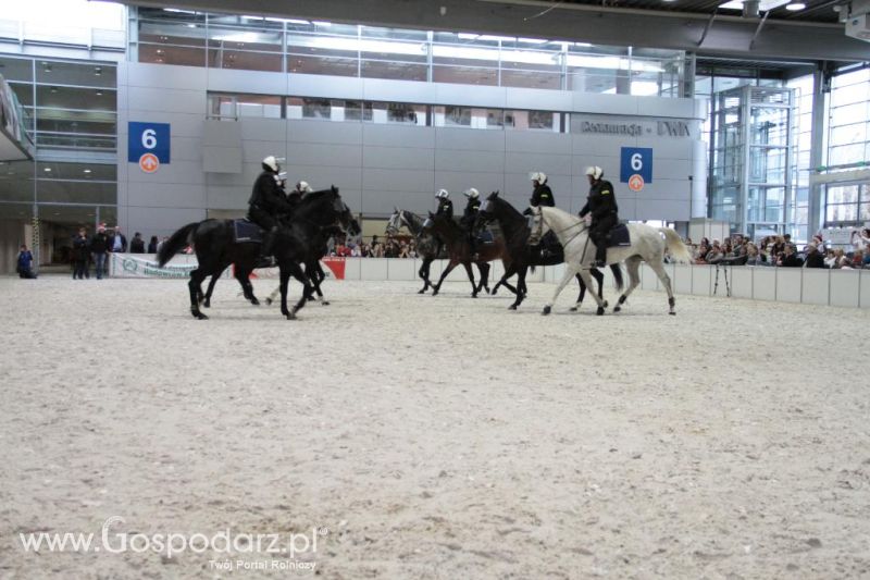 CAVALIADA 2013 w Poznaniu