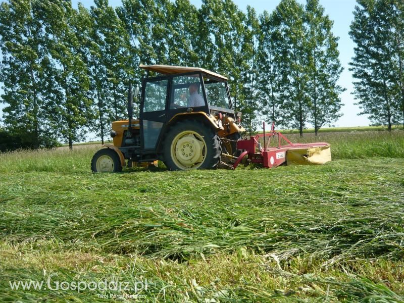 Sianokosy 2011