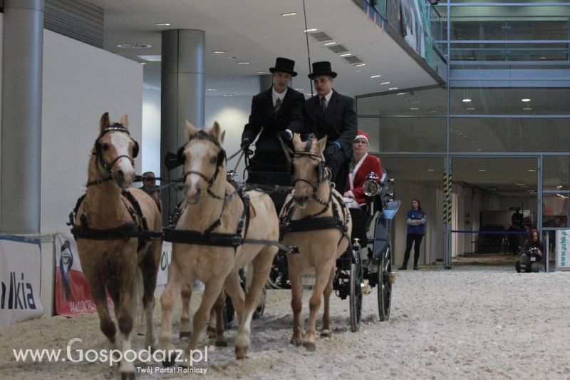 CAVALIADA 2013 w Poznaniu