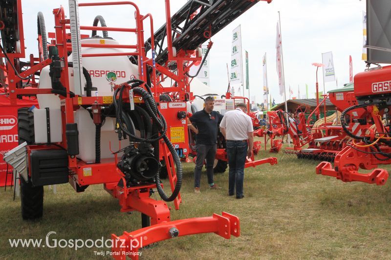 Maschio Gaspardoona na OPOLAGRA Kamień Śląski 2018