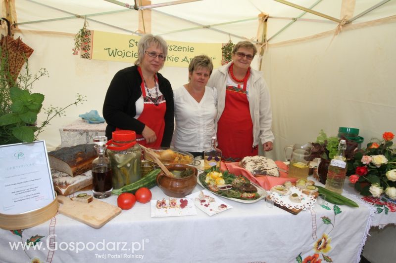 Festiwal Wieprzowiny w Bełżycach - niedziela