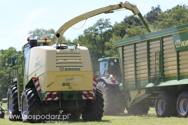 Zielone AGRO SHOW – POLSKIE ZBOŻA 2014 w Sielinku - sobota